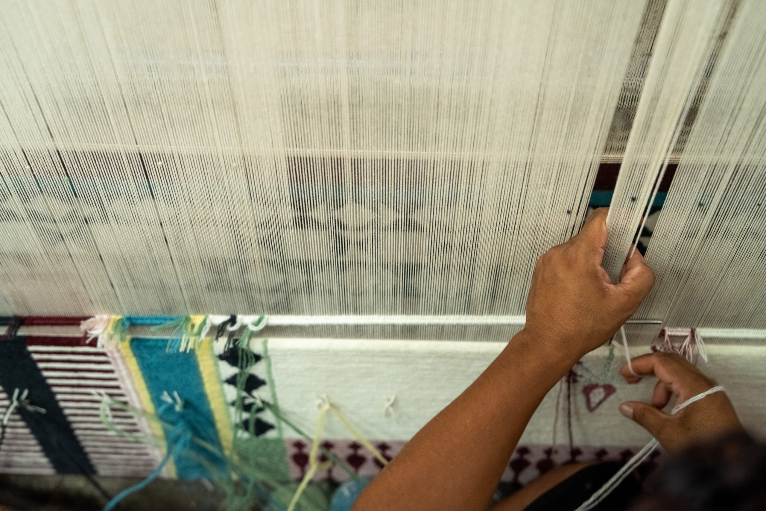 Close-up of a weaver’s hands crafting a hand-knotted rug on a vertical loom. Fine wool threads stretch across the loom as the artisan knots intricate patterns using coloured yarns—capturing the precision and heritage of traditional rug weaving.